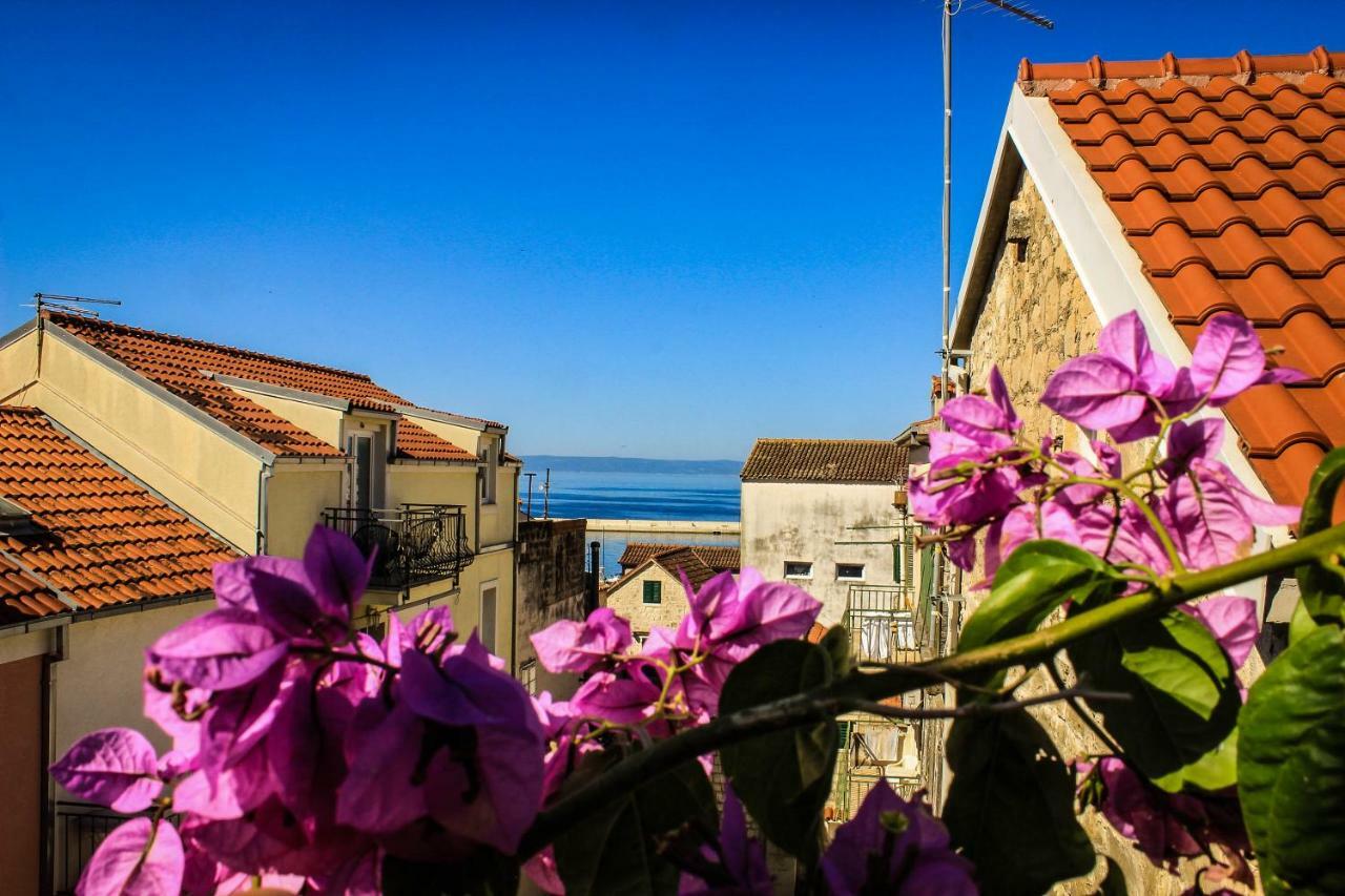 Center Of * Makarska